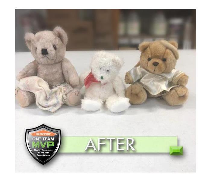 Cleaned Stuffed Teddy Bears