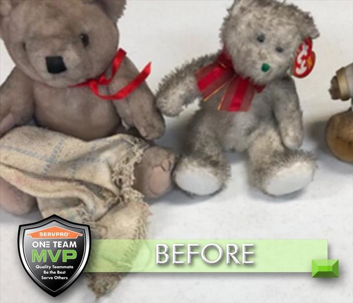 Stuffed Teddy Bears / Smoke Damages